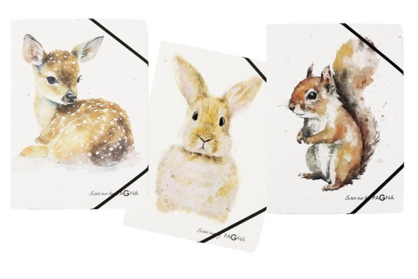 PAGNA Eckspanner Save me DIN A4 Rehkitz, Hase, Eichhörnchen, 3 St.