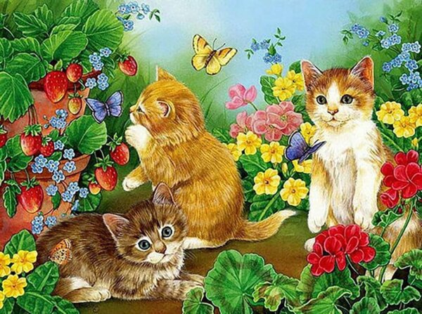 PRACHT® Creatives Diamond Painting Kätzchen in Blumenwiese mehrfarbig