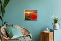 PRACHT® Creatives Diamond Painting Mohnblumen mehrfarbig