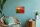PRACHT® Creatives Diamond Painting Mohnblumen mehrfarbig