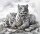PRACHT® Creatives Diamond Painting Tigermama mit Jungtier weiß