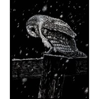 PRACHT® Creatives Kratzbild Eule silber