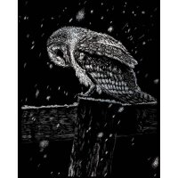 PRACHT® Creatives Kratzbild Eule silber