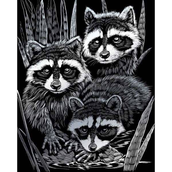 PRACHT® Creatives Kratzbild Waschbären silber  ( 4674-20131 )