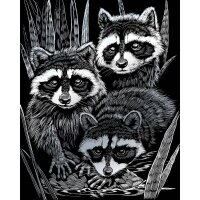 PRACHT® Creatives Kratzbild Waschbären silber  (...