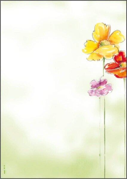 SIGEL Motivpapier Spring Flowers Motiv DIN A4 90 g/qm 50 Blatt