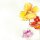 SIGEL Motivpapier Spring Flowers Motiv DIN A4 90 g/qm 50 Blatt