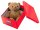 LEITZ Click & Store Aufbewahrungsbox 16,7 l rot 28,1 x 36,9 x 20,0 cm, 1 St.