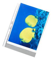 DURABLE Prospekthüllen DIN A4 glasklar glatt 0,08 mm, 50 St.