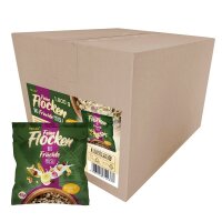 HELLMA Bio Früchte Müsli 40x 45,0 g, 40 St.