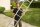 Hailo Anlegeleiter S60 ProfiStep uno silber 12 Sprossen, H: 339,0 cm