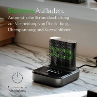 GP P461 USB-Akku-Schnellladegerät