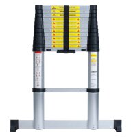 pavo Teleskopleiter silber 12 Sprossen, H: 380,0 cm