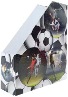 HERMA Stehsammler 19716 Fußball Karton, DIN A4, 1 St.