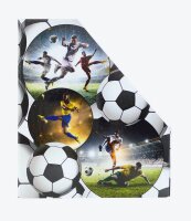 HERMA Stehsammler 19716 Fußball Karton, DIN A4, 1 St.
