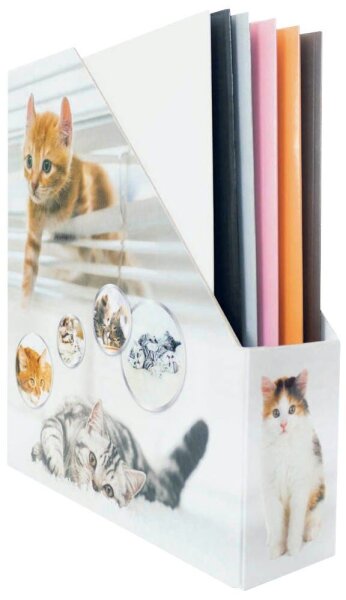 HERMA Stehsammler 19717 Katzen Karton, DIN A4, 1 St.