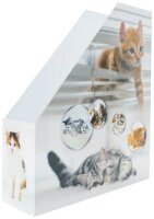 HERMA Stehsammler 19717 Katzen Karton, DIN A4, 1 St.