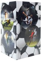 HERMA Stiftehalter Fußball Karton 8,0 x 8,0 x 13,5 cm