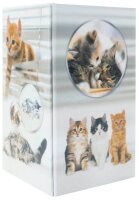 HERMA Stiftehalter Katzen Karton 8,0 x 8,0 x 13,5 cm