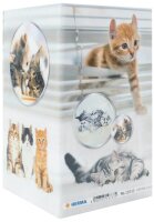 HERMA Stiftehalter Katzen Karton 8,0 x 8,0 x 13,5 cm