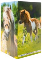 HERMA Stiftehalter Pferdewiese Karton 8,0 x 8,0 x 13,5 cm