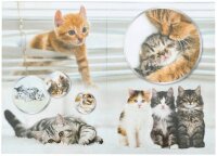 HERMA Papierkorb 15,0 l Katzen, 1 St.