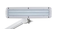 MAUL MAULintro LED Schreibtischlampe weiß 11 W mit...