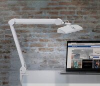 MAUL MAULintro LED Schreibtischlampe weiß 11 W mit Tischklemme