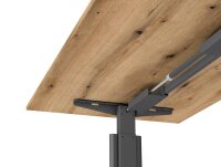 Kerkmann Move 1 advance elektrisch höhenverstellbarer Schreibtisch eiche rechteckig, T-Fuß-Gestell grau 120,0 x 80,0 cm