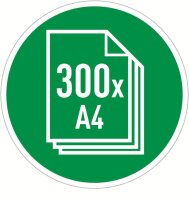 LEITZ IQ Autofeed Small Office 300 Aktenvernichter mit Partikelschnitt P-5, 2 x 15 mm, bis 300 Blatt, weiß