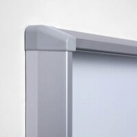 Showdown® Displays Schaukasten SL B1 silber 12x DIN A4 94,0 x 5,9 x 98,2 cm, 1 St.