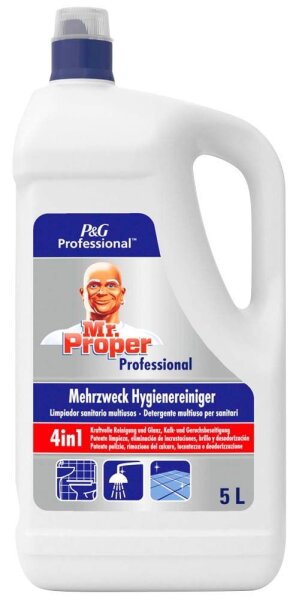Mr. Proper Professional 4in1 Allzweckreiniger 5 l, 1 St.