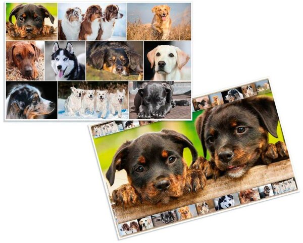 HERMA Schreibtischunterlagen Hunde Karton 55,0 x 35,0 cm, 3 St.