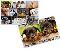 HERMA Schreibtischunterlagen Hunde Karton 55,0 x 35,0 cm, 3 St.