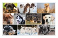 HERMA Schreibtischunterlagen Hunde Karton 55,0 x 35,0 cm, 3 St.
