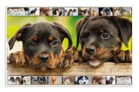 HERMA Schreibtischunterlagen Hunde Karton 55,0 x 35,0 cm, 3 St.