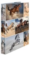 HERMA Animals Pferde Ringbuch 2-Ringe Motiv 3,5 cm DIN...