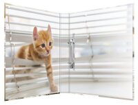 HERMA Animals Katzen Ringbuch 2-Ringe Motiv 3,5 cm DIN A4, 1 St.