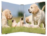 HERMA Animals Hunde Ringbuch 2-Ringe Motiv 3,5 cm DIN A4, 1 St.