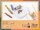 folia Bio Glitter & Pailletten-Set Glitzer farbsortiert, 1 Pack