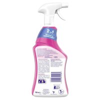 SAGROTAN® 2in1 Allzweckreiniger 750 ml, 1 St.