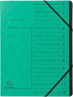 Exacompta Ordnungsmappe 12 Fächer grün, 1 St.
