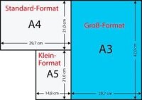 Data copy Kopierpapier Everyday Printing DIN A3 100 g/qm 500 Blatt