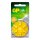 GP Knopfzellen ZA10 Zink-Luft 1,45 V, 6 St.