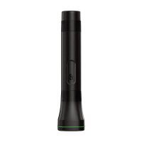GP C107 LED Taschenlampe schwarz, 1 St.