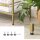 VASAGLE Konsolentisch rechteckig Glas gold 100,0 x 30,0 x 73,0 cm, 1 St.