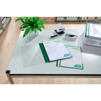 LEITZ Schnellhefter 4191 Kunststoff grün DIN A4, 25 St.