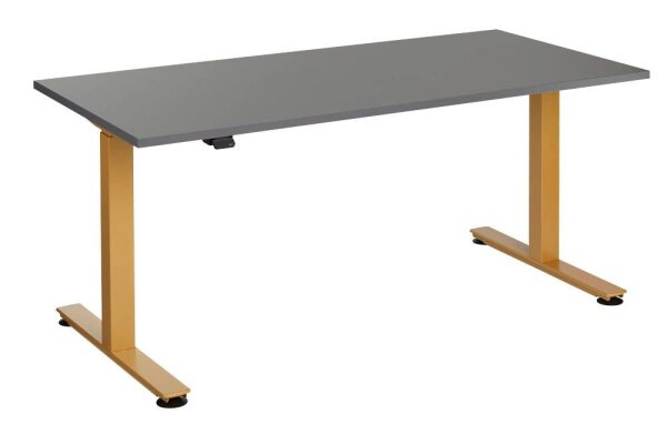 HAMMERBACHER XMST16 elektrisch höhenverstellbarer Schreibtisch grafit rechteckig, T-Fuß-Gestell gold 160,0 x 80,0 cm