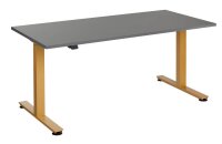 HAMMERBACHER XMST16 elektrisch höhenverstellbarer...
