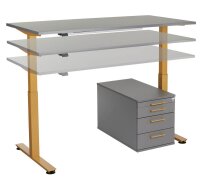 HAMMERBACHER XMST16 elektrisch höhenverstellbarer Schreibtisch grafit rechteckig, T-Fuß-Gestell gold 160,0 x 80,0 cm